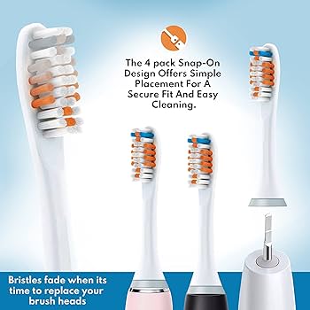 Amazon.com : Pearl Enterprises Compatible Philips Sonicare